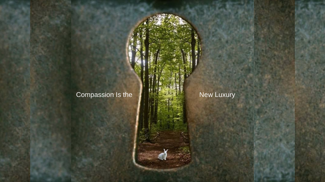 Animal Testing in Cosmetics: What It Is, Why It Happens, and How the Industry Is Changing