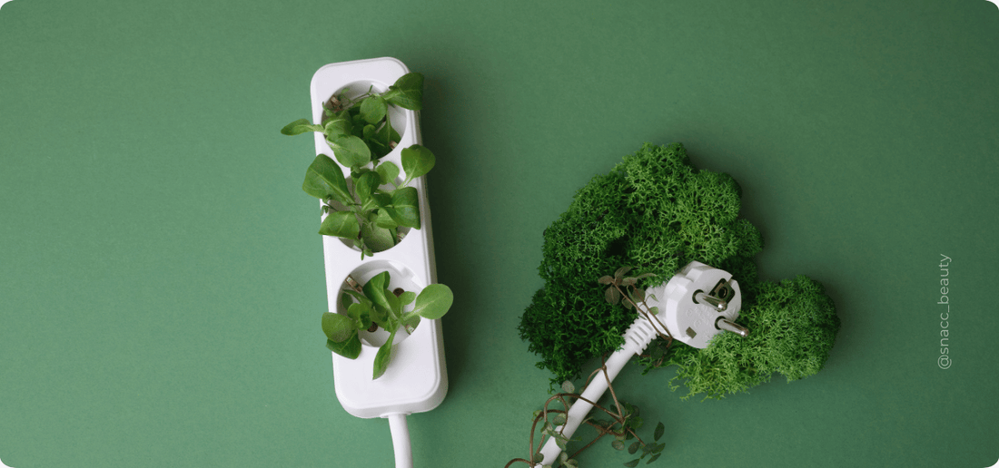 Small Steps, Big Impact: A Busy Entrepreneur's Guide to Sustainable Living