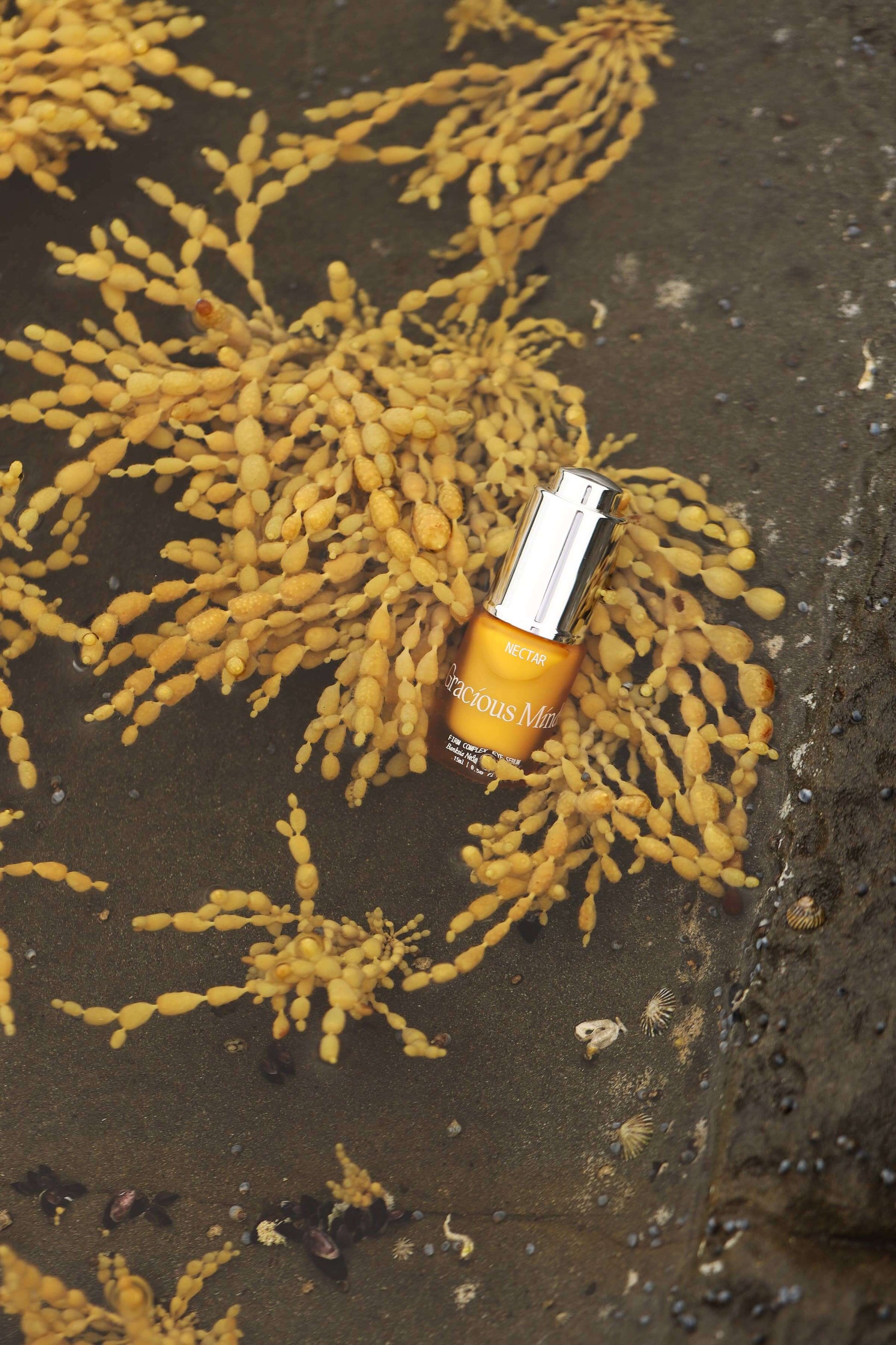 Gracious Minds Nectar Firming Eye Serum